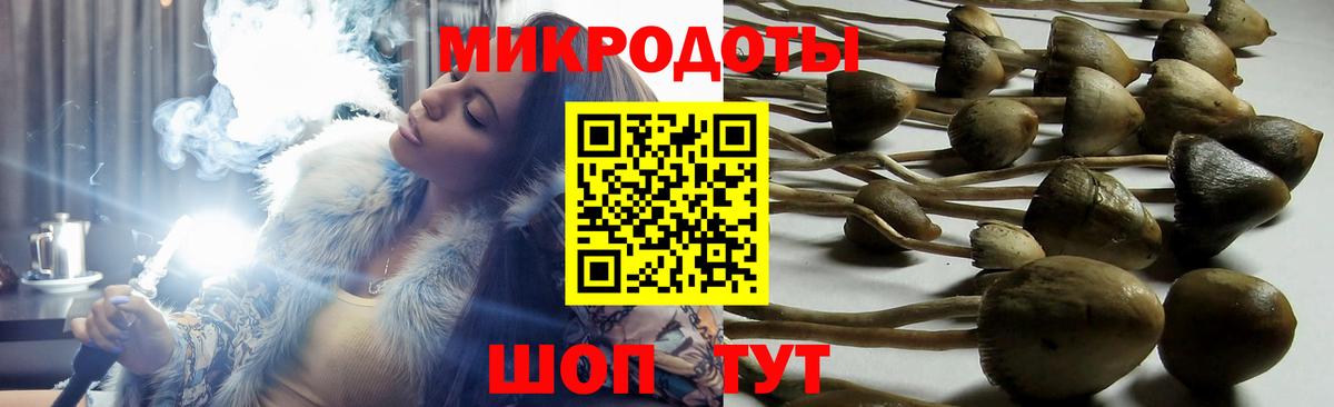 хочу наркоту  Псилоцибиновые грибы Psilocybe  Добрянка  Вход с VPN  Псилоцибиновые грибы прущие грибы 